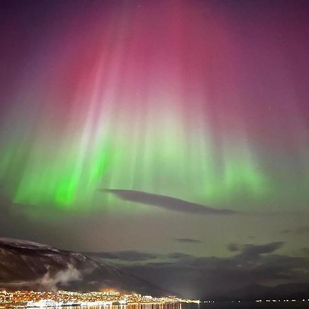 Rom Sentralt I Tromso Apartment Екстериор снимка