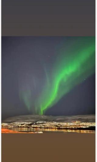 Rom Sentralt I Tromso Apartment Екстериор снимка